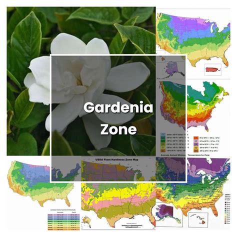 gardenia growing zones